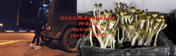 дистиллят марихуана Абдулино
