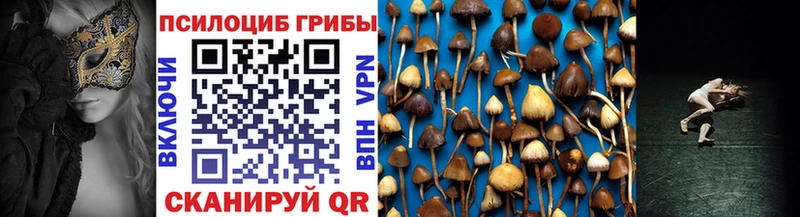 Псилоцибиновые грибы Psilocybine cubensis  ОМГ ОМГ ССЫЛКА  Нижневартовск 