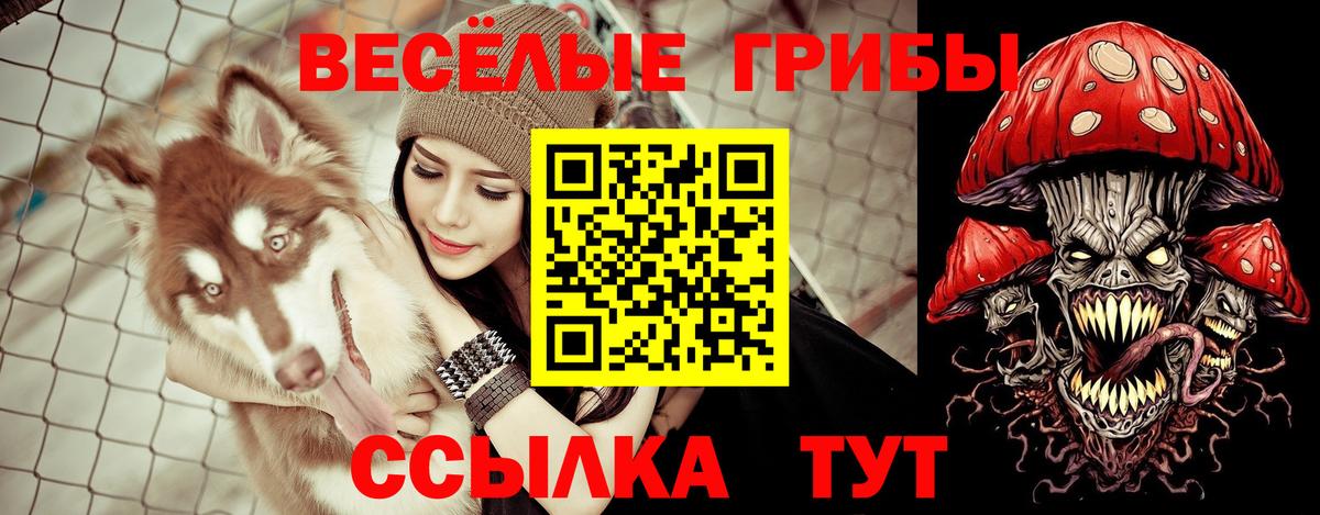 купить наркоту  Вход с VPN  Нижневартовск  Псилоцибиновые грибы мухоморы 